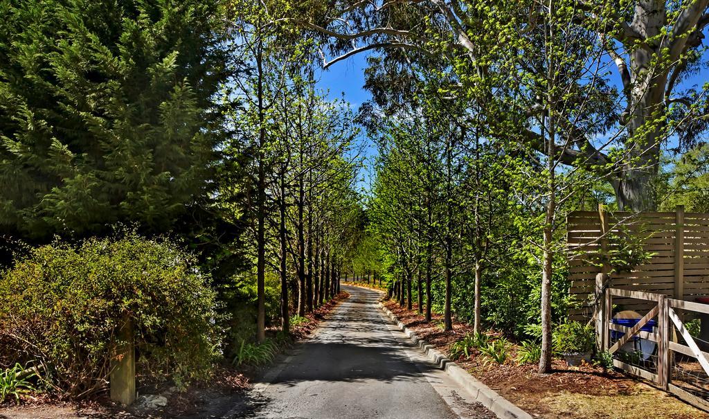 Bundanoon Lodge Ngoại thất bức ảnh